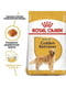 Royal Canin Golden Retriever Adult корм для взрослого золотистого ретривера | 6611653 | фото 2