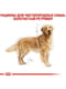 Royal Canin Golden Retriever Adult корм для взрослого золотистого ретривера | 6611653 | фото 4