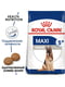 Royal Canin Maxi Adult 5+ сухий корм для собак великих порід від 5 років | 6611655 | фото 2