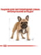 Royal Canin French Bulldog Adult корм для французьких бульдогів від 12 місяців | 6611657 | фото 4