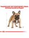 Royal Canin French Bulldog Adult корм для французьких бульдогів від 12 місяців 1.5 кг. | 6611658 | фото 3
