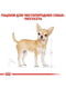 Royal Canin Chihuahua Adult сухой корм для собак породы чихуахуа от 8 месяцев | 6611665 | фото 4