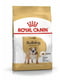 Royal Canin Bulldog Adult сухой корм для английских бульдогов от 12 месяцев 3 кг. | 6611669