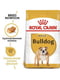 Royal Canin Bulldog Adult сухой корм для английских бульдогов от 12 месяцев 3 кг. | 6611669 | фото 2