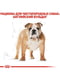 Royal Canin Bulldog Adult сухий корм для англійських бульдогів від 12 місяців 3 кг. | 6611669 | фото 6