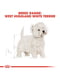 Royal Canin West Highland White Terrier Adult (Роял Канін Вест Хайленд Уайт Тер'єр Едалт) корм для собак | 6611670 | фото 4