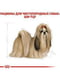 Royal Canin Shih Tzu Adult сухий корм для собак породи ши-тцу від 10 місяців | 6611671 | фото 5