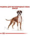 Royal Canin Boxer Adult сухой корм для собак породы боксер от 15 месяцев | 6611673 | фото 5