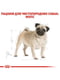 Royal Canin Pug Adult сухой корм для взрослых собак породы мопс от 10 месяцев 1.5 кг. | 6611675 | фото 5
