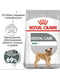 Royal Canin Mini Dental Care сухой корм для собак до 10 кг от зубного камня | 6611677 | фото 2