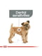 Royal Canin Mini Dental Care сухой корм для собак до 10 кг от зубного камня 1 кг. | 6611678 | фото 4