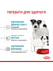 Royal Canin Mini Starter (Роял Канін Міні Стартер Мазер Бебідог) корм для вагітних та годуючих собак до 10 кг | 6611688 | фото 5
