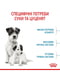 Royal Canin Mini Starter (Роял Канін Міні Стартер Мазер Бебідог) корм для вагітних та годуючих собак до 10 кг | 6611688 | фото 6