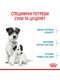 Royal Canin Mini Starter (Роял Канін Міні Стартер Мазер Бебідог) корм для вагітних та годуючих собак до 10 кг 3 кг. | 6611690 | фото 6