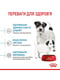 Royal Canin Mini Starter (Роял Канин Мини Стартер Мазер Бебидог) корм для беременных и кормящих собак до 10 кг 3 кг. | 6611690 | фото 7