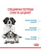 Royal Canin Medium Starter (Роял Канин Медиум Стартер Мазер Бебидог) корм для беременных собак 11-25 кг | 6611691 | фото 6