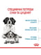 Royal Canin Medium Starter (Роял Канін Медіум Стартер Мазер Бебідог) корм для вагітних собак 11-25 кг 1 кг. | 6611692 | фото 6