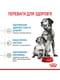 Royal Canin Medium Starter (Роял Канин Медиум Стартер Мазер Бебидог) корм для беременных собак 11-25 кг 1 кг. | 6611692 | фото 7