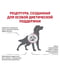 Royal Canin Cardiac сухой корм для собак при сердечной недостаточности | 6611710 | фото 3