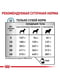 Royal Canin Skin Care сухой корм для собак при дерматозах и выпадении шерсти | 6611748 | фото 5