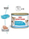 Royal Canin Starter Mousse Mother Babydog вологий корм для вагітних собак 195 г х 12 шт | 6611763 | фото 2