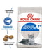 Royal Canin Indoor 7+ сухий корм для котів 7 - 12 років 1.5 кг. | 6611780 | фото 2