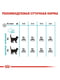 Royal Canin Urinary Care сухой корм для котов для мочевыделительной системы от 12 мес | 6611781 | фото 7