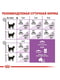 Royal Canin Sterilised 7+ сухой корм для стерилизованных кошек 7 - 12 лет | 6611784 | фото 6