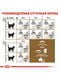 Royal Canin Sterilised Ageing 12+ сухий корм для стерилізованих кішок від 12 років 2 кг. | 6611793 | фото 7