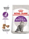 Royal Canin Sensible 33 сухой корм для котов при слабой пищеварительной системе с 12 мес. | 6611794 | фото 3