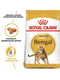 Royal Canin Bengal Adult сухой корм для кошек породы бенгальская от 12 месяцев | 6611797 | фото 2