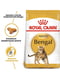 Royal Canin Bengal Adult сухий корм для кішок породи бенгальська від 12 місяців | 6611797 | фото 2