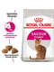 Royal Canin Savour Exigent сухой корм для котов привередливых в еде от 12 месяцев | 6611801 | фото 2