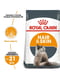 Royal Canin Hair and Skin Care сухой корм для кошек для кожи и шерсти от 12 мес | 6611804 | фото 2