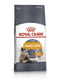 Royal Canin Hair and Skin Care сухий корм для кішок для шкіри та вовни від 12 міс 2 кг. | 6611805