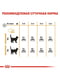 Royal Canin Hair and Skin Care сухой корм для кошек для кожи и шерсти от 12 мес 4 кг. | 6611806 | фото 7