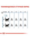 Royal Canin Light Weight Care корм для котов склонных к лишнему весу от 12 месяцев | 6611807 | фото 7