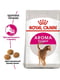 Royal Canin Aroma Exigent сухой корм для котов привередливых в кормах от 12 мес. | 6611809 | фото 2