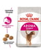 Royal Canin Aroma Exigent сухий корм для котів вибагливих у кормах від 12 міс. 4 кг. | 6611811 | фото 2