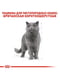 Royal Canin British Shorthair Adult корм для кошек британская короткошерстная | 6611812 | фото 5