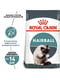 Royal Canin Hairball Care корм для котів при утворенні грудочок вовни у шлунку 4 кг. | 6611823 | фото 2