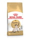Royal Canin Siamese Adult сухий корм для кішок породи сіамська від 12 місяців | 6611824
