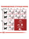 Royal Canin FIT 32 сухой корм для взрослых кошек от 12 месяцев до 7 лет | 6611826 | фото 7