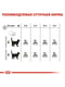 Royal Canin Oral Care сухой корм для котов от 12 месяцев при образовании зубных камней | 6611832 | фото 6