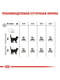 Royal Canin Oral Care сухой корм для котов от 12 месяцев при образовании зубных камней 1.5 кг. | 6611833 | фото 6