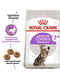 Royal Canin Appetite Control Sterilised 7+ корм для стерилизованных котов от 7 лет | 6611837 | фото 2
