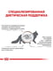 Royal Canin Gastrointestinal сухой корм для кошек при расстройствах пищеварения | 6611864 | фото 4