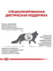 Royal Canin Hepatic сухий корм для кішок при захворюваннях печінки | 6611866 | фото 3