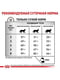 Royal Canin Hepatic сухий корм для котів при захворюваннях печінки 2 кг. | 6611867 | фото 6