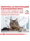 Royal Canin Gastrointestinal влажный корм для кошек для пищеварения 85 г х 12шт | 6611881 | фото 6